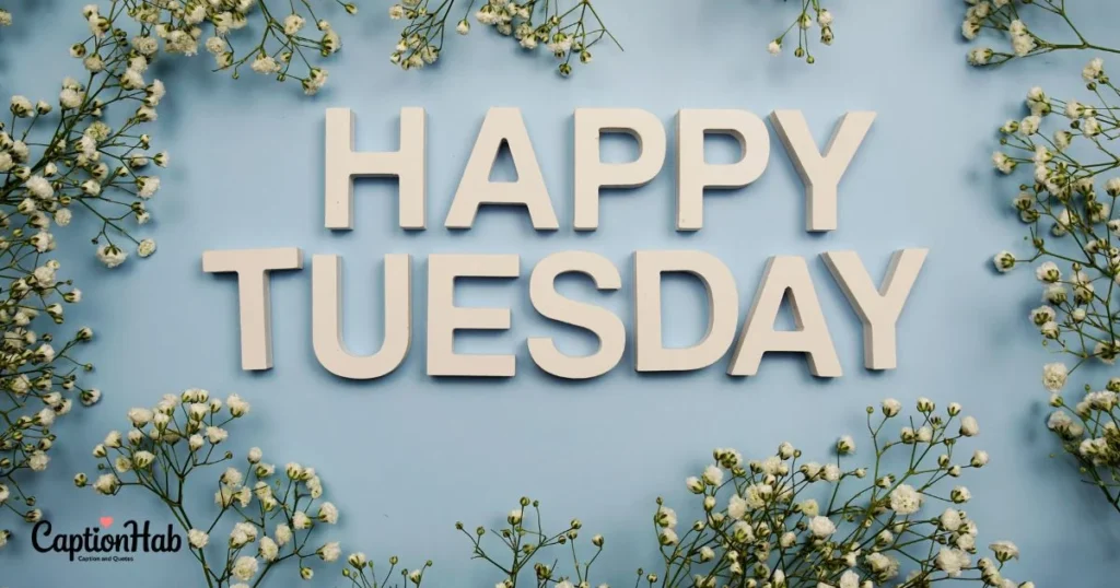 Cute Instagram Captions Tuesday