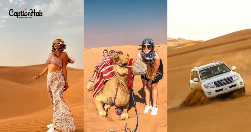 Funny Desert Captions