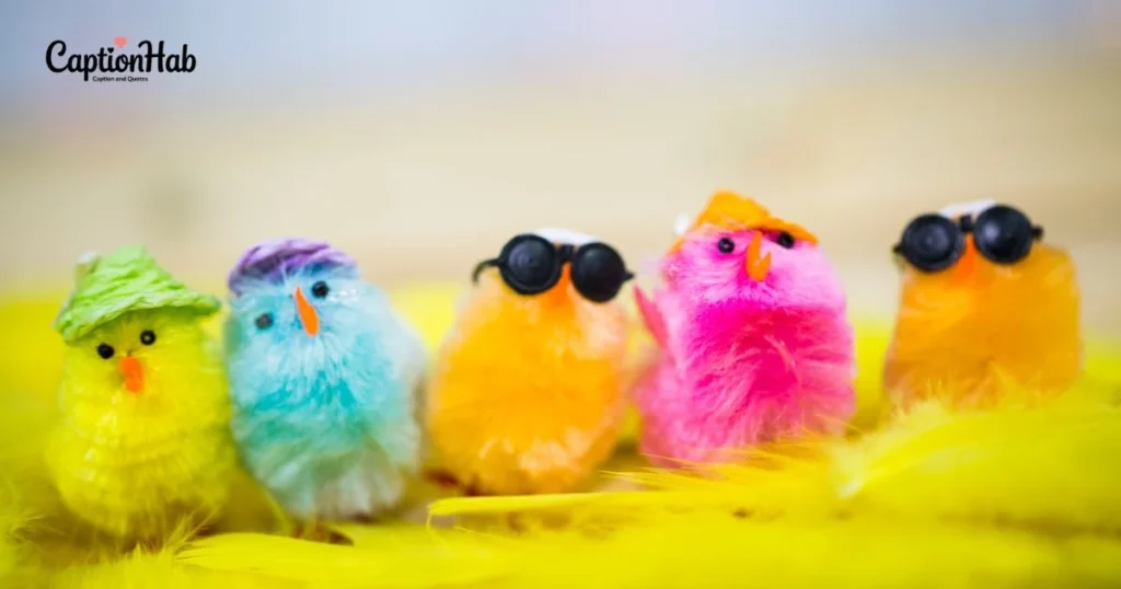 Funny Family Captions