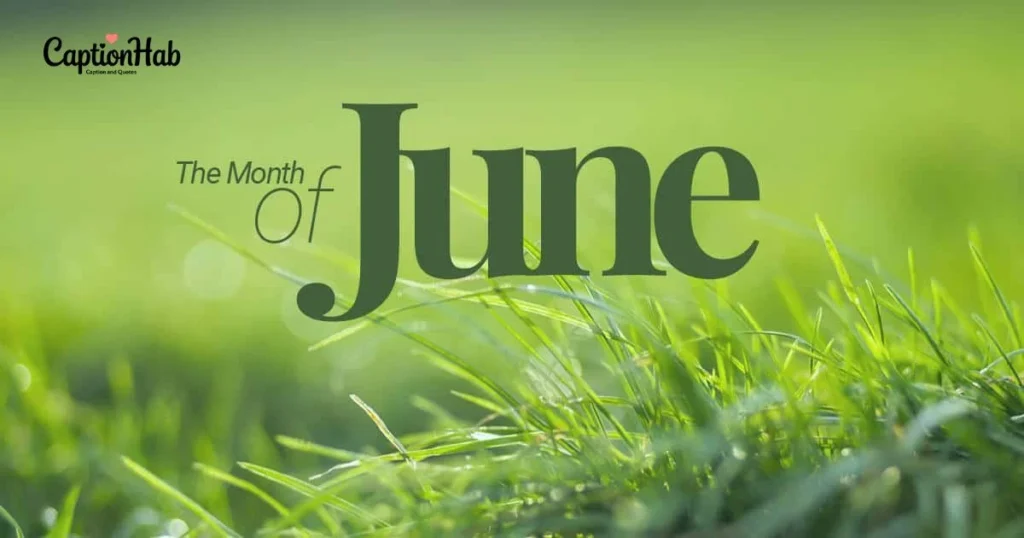 June Captions