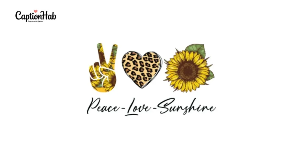 Love And Sunshine Captions