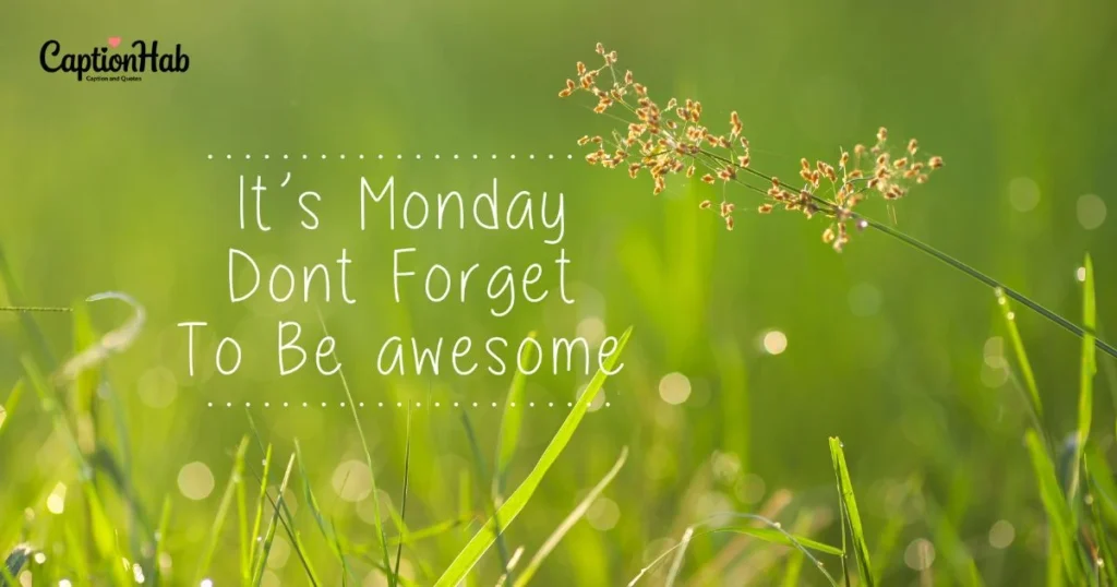 Monday Instagram Captions