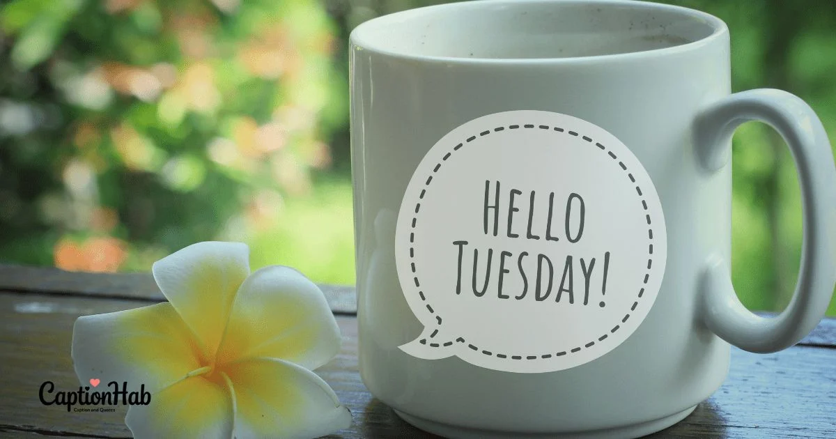 255+Tuesday Captions That Boost Your Instagram Vibes![2026]