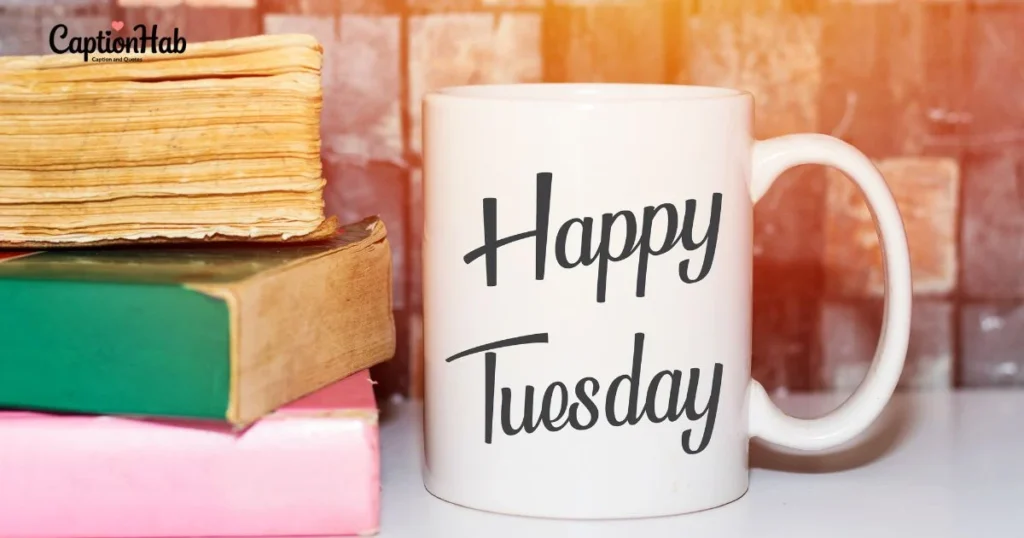 Tuesday Morning Captions