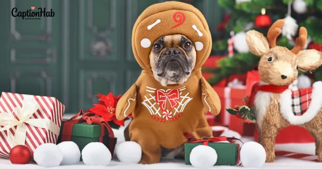 Weekend Captions Funny