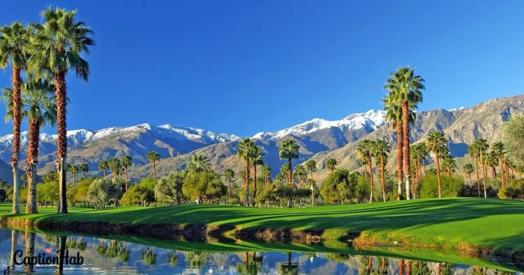 Beautiful Palm Springs