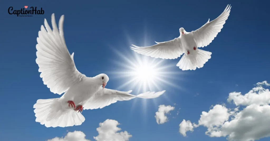 Flying Instagram Captions