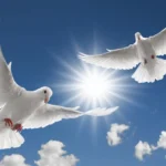 Flying Instagram Captions