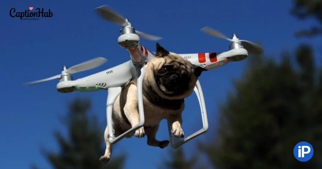 Funny Flying Instagram