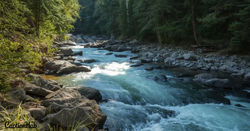 Nature River