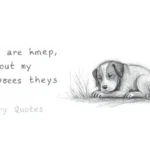 Sorry Quotes