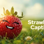 Strawberry Captions