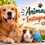 Animal Lover Instagram Bio